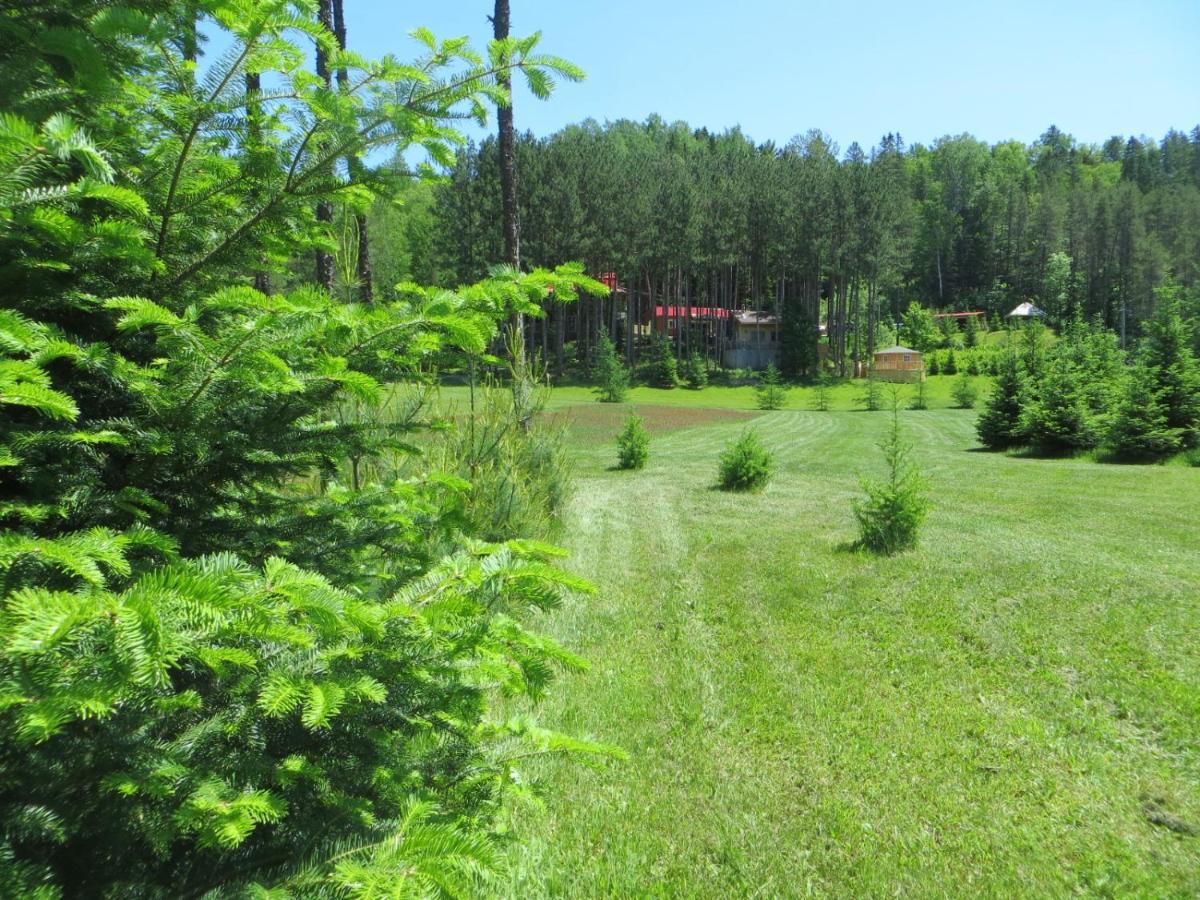 La Maison Sous Les Arbres Saint Roch de Mekinac Εξωτερικό φωτογραφία