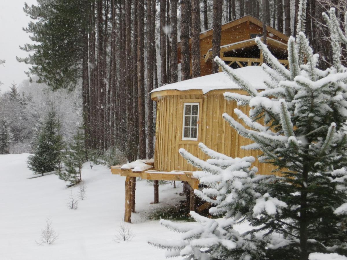 La Maison Sous Les Arbres Saint Roch de Mekinac Εξωτερικό φωτογραφία